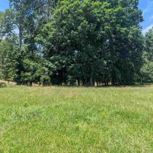 Photo #3 of Lot 7 ADVANCE MILLS RD, RUCKERSVILLE, VA 2.5 acres