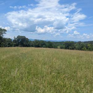 Photo #6 of Lot 7 ADVANCE MILLS RD, RUCKERSVILLE, VA 2.5 acres