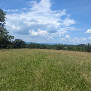 Photo #4 of Lot 7 ADVANCE MILLS RD, RUCKERSVILLE, VA 2.5 acres