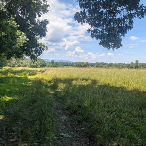 Photo #8 of Lot 7 ADVANCE MILLS RD, RUCKERSVILLE, VA 2.5 acres