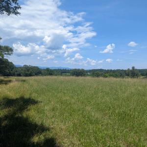 Photo #15 of Lot 7 ADVANCE MILLS RD, RUCKERSVILLE, VA 2.5 acres