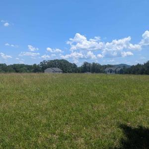 Photo #13 of Lot 7 ADVANCE MILLS RD, RUCKERSVILLE, VA 2.5 acres