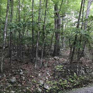 Photo #4 of 43 HIGH VALLEY SOUTH, MONTEREY, VA 5.0 acres