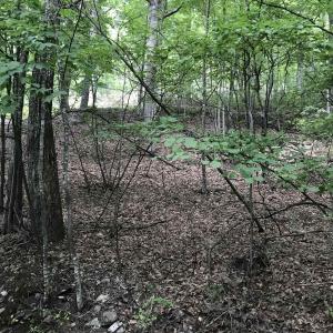 Photo #1 of 43 HIGH VALLEY SOUTH, MONTEREY, VA 5.0 acres