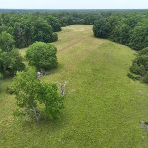 Photo #14 of TBD MARTIN LN, PALMYRA, VA 43.9 acres