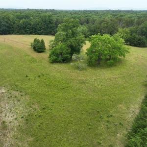 Photo #13 of TBD MARTIN LN, PALMYRA, VA 43.9 acres