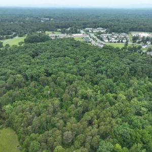 Photo #4 of TBD MARTIN LN, PALMYRA, VA 43.9 acres