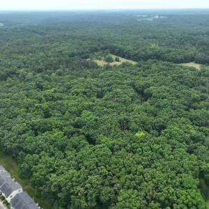 Photo #6 of TBD MARTIN LN, PALMYRA, VA 43.9 acres