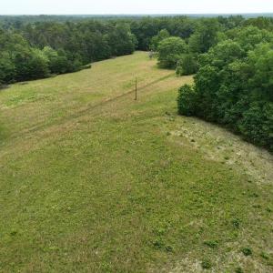 Photo #11 of TBD MARTIN LN, PALMYRA, VA 43.9 acres