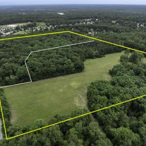 Photo #1 of TBD MARTIN LN, PALMYRA, VA 43.9 acres