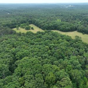 Photo #7 of TBD MARTIN LN, PALMYRA, VA 43.9 acres