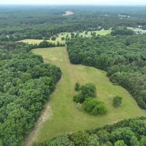 Photo #3 of TBD MARTIN LN, PALMYRA, VA 43.9 acres