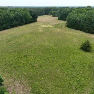 Photo #10 of TBD MARTIN LN, PALMYRA, VA 43.9 acres