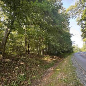 Photo #10 of Lot 4 RODES VALLEY DR, NELLYSFORD, VA 2.8 acres