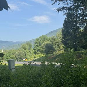 Photo #12 of Lot 4 RODES VALLEY DR, NELLYSFORD, VA 2.8 acres