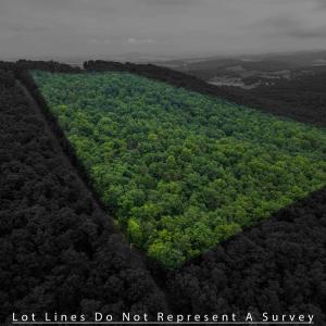 Photo #10 of TOWER MOUNTAIN LN, MOUNT JACKSON, VA 12.5 acres