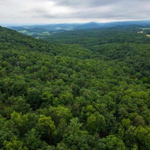 Photo #12 of TOWER MOUNTAIN LN, MOUNT JACKSON, VA 12.5 acres