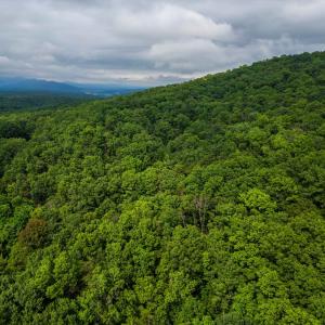 Photo #20 of TOWER MOUNTAIN LN, MOUNT JACKSON, VA 12.5 acres