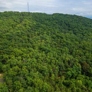 Photo #17 of TOWER MOUNTAIN LN, MOUNT JACKSON, VA 12.5 acres