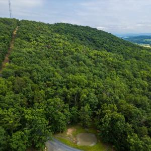 Photo #16 of TOWER MOUNTAIN LN, MOUNT JACKSON, VA 12.5 acres