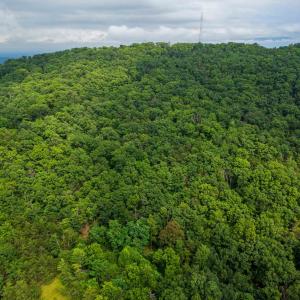 Photo #18 of TOWER MOUNTAIN LN, MOUNT JACKSON, VA 12.5 acres