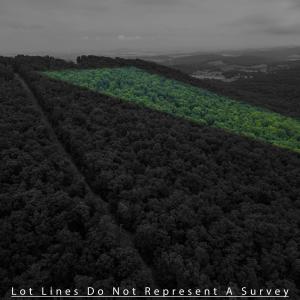 Photo #9 of TOWER MOUNTAIN LN, MOUNT JACKSON, VA 12.5 acres