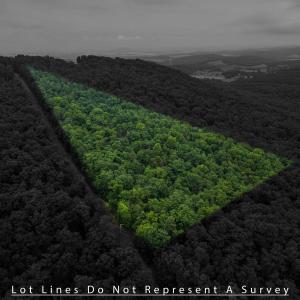 Photo #8 of TOWER MOUNTAIN LN, MOUNT JACKSON, VA 12.5 acres