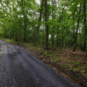 Photo #1 of TOWER MOUNTAIN LN, MOUNT JACKSON, VA 12.5 acres