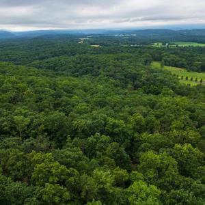 Photo #14 of TOWER MOUNTAIN LN, MOUNT JACKSON, VA 12.5 acres