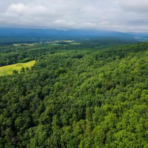 Photo #23 of TOWER MOUNTAIN LN, MOUNT JACKSON, VA 12.5 acres