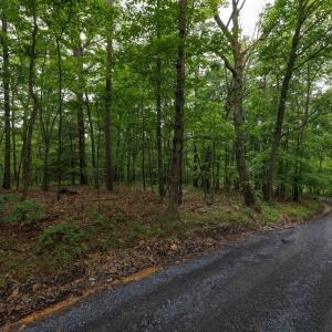Photo #2 of TOWER MOUNTAIN LN, MOUNT JACKSON, VA 12.5 acres