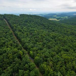 Photo #11 of TOWER MOUNTAIN LN, MOUNT JACKSON, VA 12.5 acres