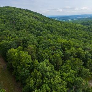 Photo #15 of TOWER MOUNTAIN LN, MOUNT JACKSON, VA 12.5 acres