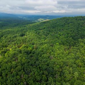 Photo #21 of TOWER MOUNTAIN LN, MOUNT JACKSON, VA 12.5 acres
