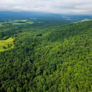 Photo #22 of TOWER MOUNTAIN LN, MOUNT JACKSON, VA 12.5 acres