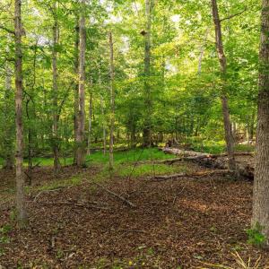Photo #11 of Lot 13 CLUB DR, KESWICK, VA 3.3 acres