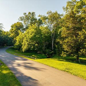 Photo #8 of Lot 13 CLUB DR, KESWICK, VA 3.3 acres