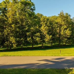 Photo #9 of Lot 13 CLUB DR, KESWICK, VA 3.3 acres