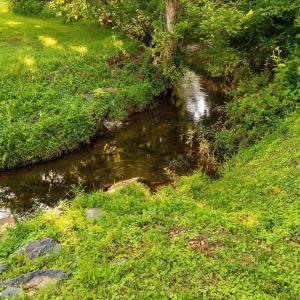 Photo #10 of Lot 13 CLUB DR, KESWICK, VA 3.3 acres