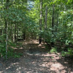 Photo #3 of Lot 6 RICHMOND RD, AMELIA COURT HOUSE, VA 5.8 acres