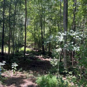 Photo #4 of Lot 6 RICHMOND RD, AMELIA COURT HOUSE, VA 5.8 acres