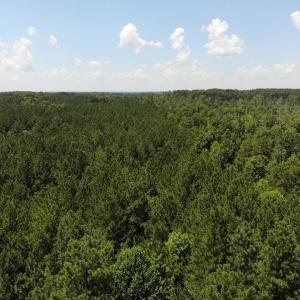 Photo #5 of Lot 6 RICHMOND RD, AMELIA COURT HOUSE, VA 5.8 acres