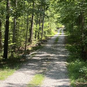 Photo #2 of Lot 6 RICHMOND RD, AMELIA COURT HOUSE, VA 5.8 acres