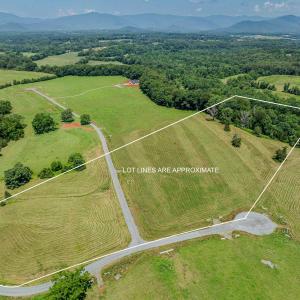 10+ acres of pristine land in Greene County with river access!