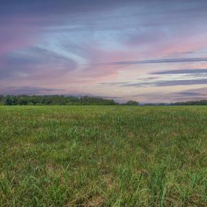 Photo #32 of Lot 23 SUNSET RIDGE, RUCKERSVILLE, VA 10.0 acres