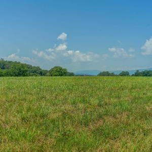 Photo #27 of Lot 23 SUNSET RIDGE, RUCKERSVILLE, VA 10.0 acres
