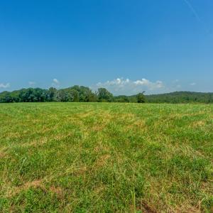 Photo #25 of Lot 23 SUNSET RIDGE, RUCKERSVILLE, VA 10.0 acres