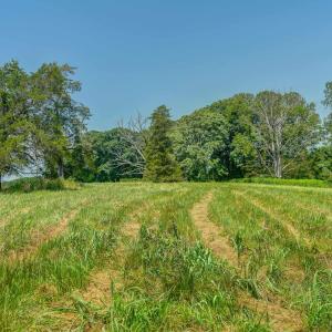 Photo #29 of Lot 23 SUNSET RIDGE, RUCKERSVILLE, VA 10.0 acres