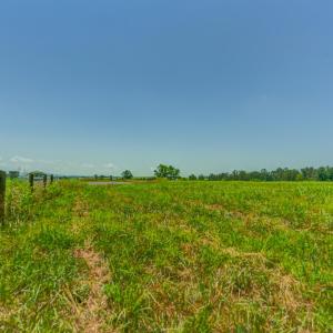Photo #31 of Lot 23 SUNSET RIDGE, RUCKERSVILLE, VA 10.0 acres