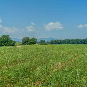 Photo #26 of Lot 23 SUNSET RIDGE, RUCKERSVILLE, VA 10.0 acres